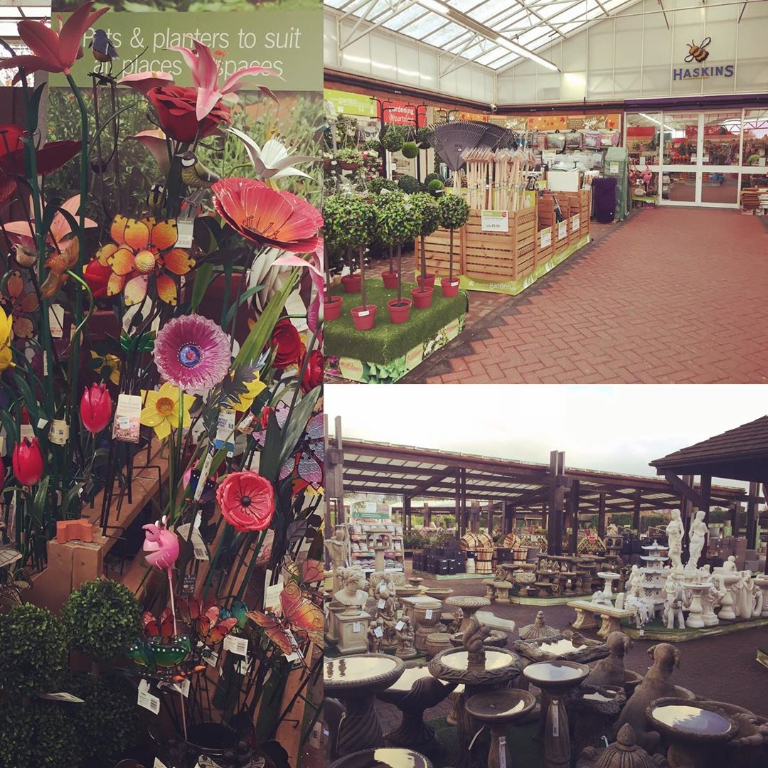 12 Best Garden Centres Bournemouth & Poole