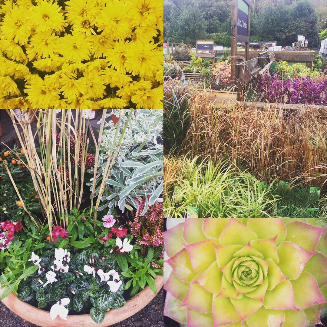 12 Best Garden Centres Bournemouth & Poole