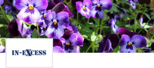 In-Excess Garden Centre, West Parley