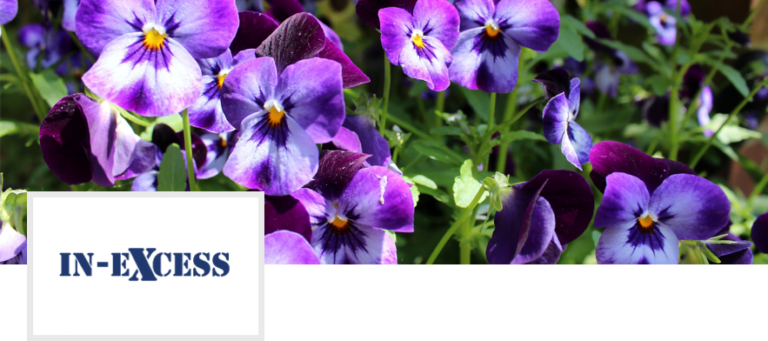In-Excess Garden Centre, West Parley - Poole & Bournemouth Directory