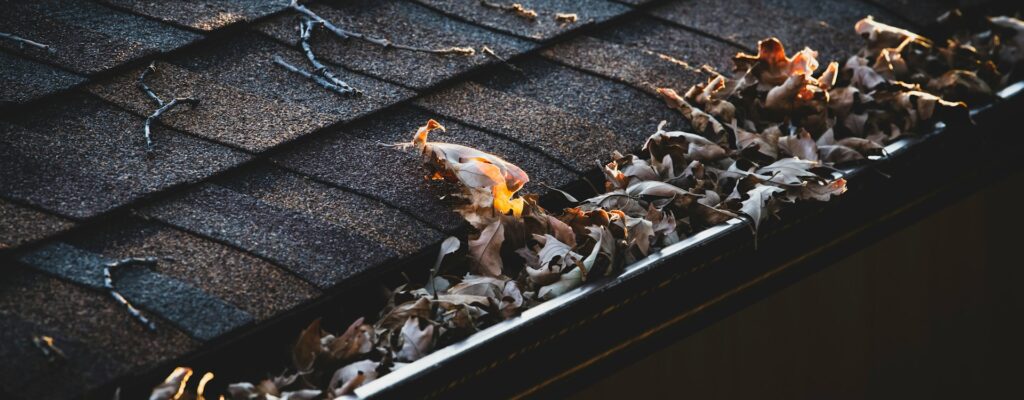 Gutter Cleaning Bournemouth & Poole: 10 Local Companies